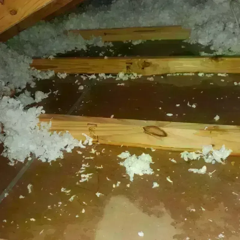 Attic Water Damage in Monroe County, AL