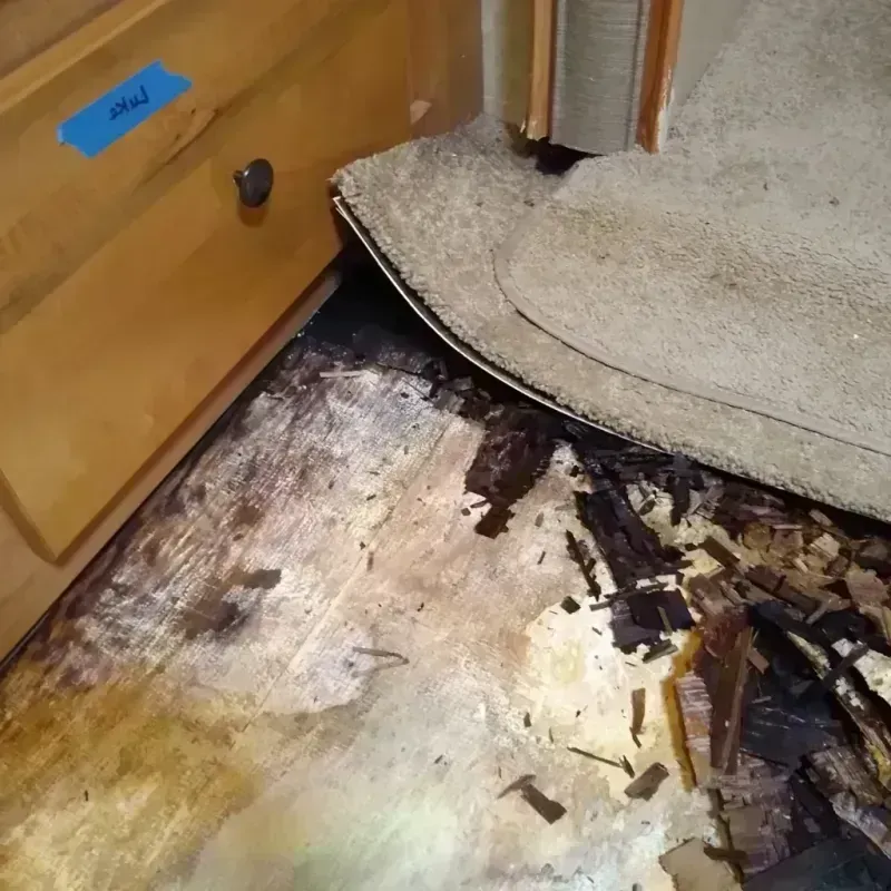 Wood Floor Water Damage in Monroe County, AL